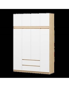 Шкаф Soma ШК-4 160-235