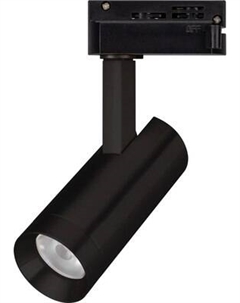Трековый светильник Arlight LGD-SPOT-2TR-R45-7W Day4000 BK 24deg / 042540