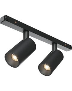 Трековый светильник Maytoni TR176-1-2X5WTW-M-B