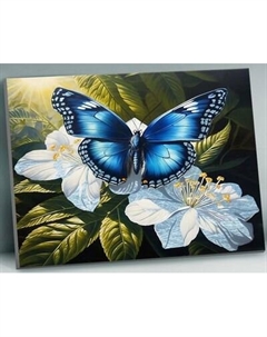 Картина по номерам Флюид Бабочка на белых цветах 40x50 / QHR0004