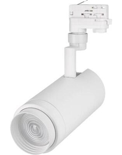 Трековый светильник Arlight LGD-ZEUS-4TR-R100-30W Day WH 20-60deg / 024609