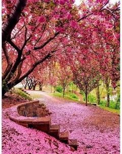 Фотообои листовые Citydecor Природа 148