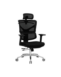 Кресло офисное Evolution Ergo Mesh