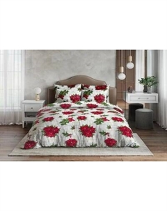 Комплект постельного белья Ночь нежна Рождественская звезда Стандарт Семейный 50x70 / 9272-1+9273-1