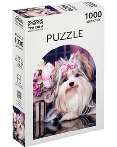 Пазл Три совы Бивер-йоркширский терьер / ПК1000_54684