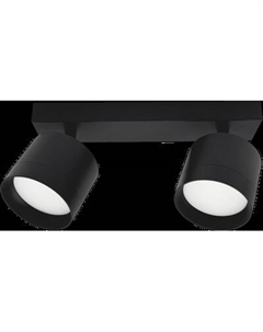 Спот Truenergy 21382