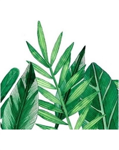 Фотообои листовые Citydecor Цветы и Растения 238