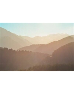 Фотообои листовые Citydecor Природа 147