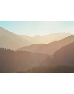 Фотообои листовые Citydecor Природа 147