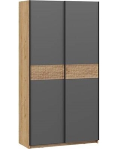 Шкаф-купе ТриЯ Оскар Скания Т2 1200 / 268369 Трия