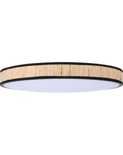 Потолочный светильник Rexant Moso Lumi Line 650-1074