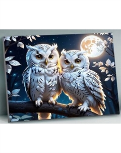 Картина по номерам Флюид Совиная пара 40x50 / QHR0002