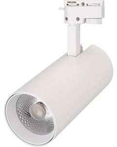 Трековый светильник Arlight LGD-GERA-2TR-R90-30W Day4000 WH 24deg / 025930(1)