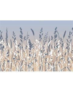 Фотообои листовые Citydecor Невесомость 46