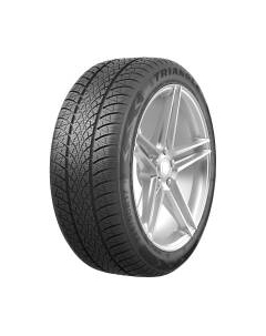 Зимняя шина Triangle TW401 195/55R16 91H