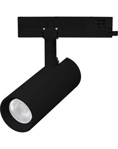 Трековый светильник Arlight LGD-GERA-4TR-R55-10W Day4000 BK 36deg / 055108