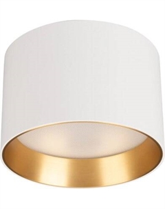 Точечный светильник Arlight SP-BISCOTTO-R120-12W Warm3300-MIX WH-GD 80deg / 054914