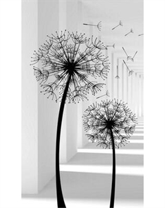 Фотообои листовые Citydecor Абстракция 441