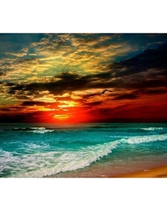 Фотообои листовые Citydecor Море и Водопады 64