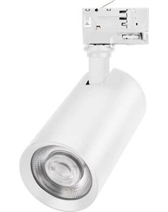 Трековый светильник Arlight LGD-CALIPSO-4TR-R85-10W Day4000-MIX WH 38deg / 046741