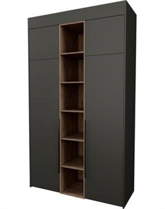 Шкаф Рэйгрупп Рэй S257-В5-WKW В5