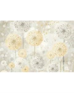 Фотообои листовые Citydecor Невесомость 47