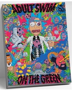 Картина по номерам Молли Rick and Morty Рик и Морти 40x50 / HR0241 Molli