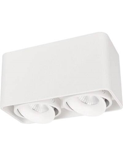 Точечный светильник Arlight SP-CUBUS-S195x100-2x8W Warm3000 WH 45deg / 036058