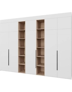 Шкаф Рэйгрупп Рэй S257-В17-2-EBЕ В17-2