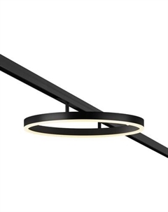 Трековый светильник Maytoni TR227-2-24W3K-B