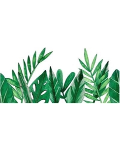 Фотообои листовые Citydecor Цветы и Растения 238