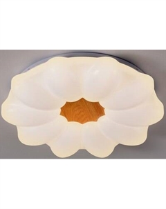 Потолочный светильник Rexant Leo Lumi Line 650-1061