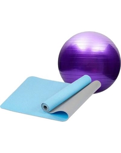 Набор для фитнеса Sundays Fitness Фитбол IR97402-65 + Коврик IRBL17107 Sundays fitness