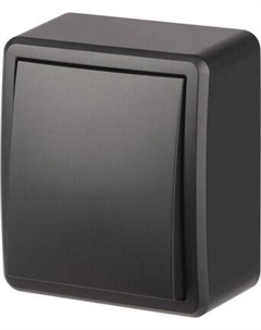 Выключатель ЭРА Эксперт 11-1203-05 / Б0063003 Эра