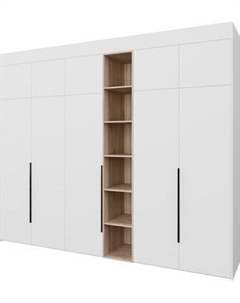 Шкаф Рэйгрупп Рэй S257-В14-2-EBЕ В14-2