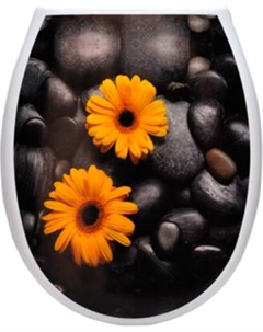 Сиденье для унитаза Еврокомфорт Океан Lux Гербера-мираж с детской накладкой 003737