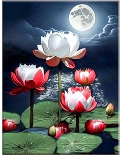 Картина по номерам Флюид Лотос в сиянии луны 40x50 / QHR0014