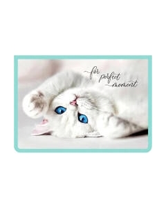 Папка для тетрадей Пчелка Голубоглазая кошечка / ПМ-А4-29