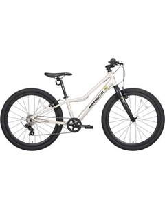 Велосипед Maxiscoo 5bike 24 L200 2025 / MSC-M5-2414