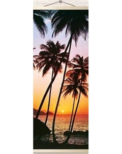 Картина по номерам Молли Пальмы на закате 35x88 / HRP0018 Molli