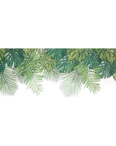 Фотообои листовые Citydecor Цветы и Растения 237