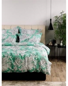 Комплект постельного белья Windslow Астры сем 70x70 / 71027-1+71028-1