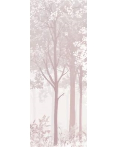 Фотообои листовые Citydecor Таинственный лес 32