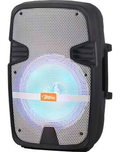 Портативная колонка Bseng MSA-801