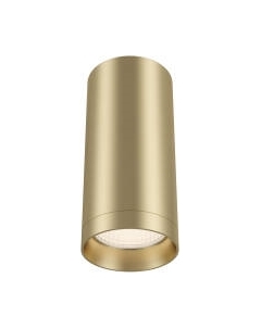 Потолочный светильник Maytoni Alfa C010CL-01MG