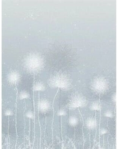 Фотообои листовые Citydecor Невесомость 42