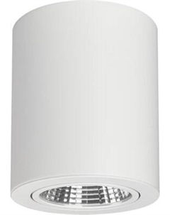 Точечный светильник Arlight SP-FOCUS-R120-16W Day White / 021426