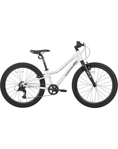 Велосипед Maxiscoo 3bike 24 L 2025 / MSC-M3-2403