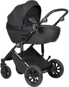 Детская универсальная коляска Farfello Molly Pro 3 в 1 MP-2