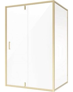 Душевой уголок Niagara NG-43-12AG-A110G 120x110x195